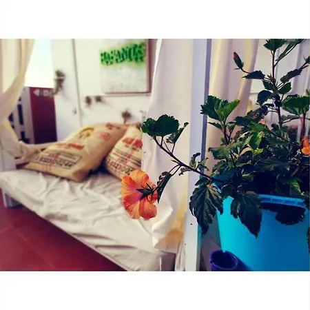 Habanitas Appartement Santa Cruz de la Palma  Buitenkant foto