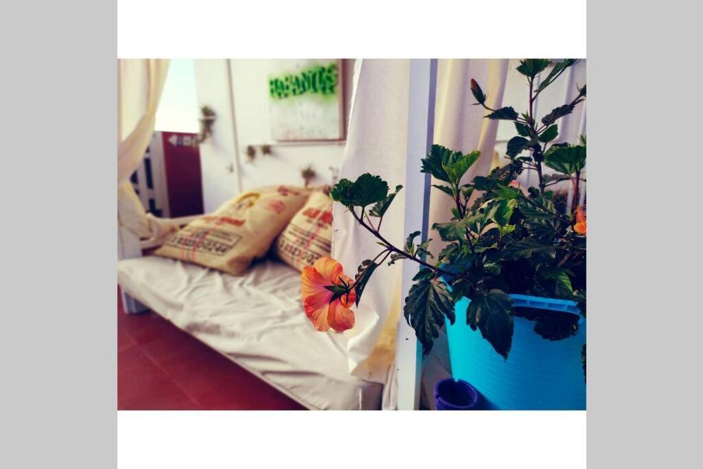 Habanitas Apartamento